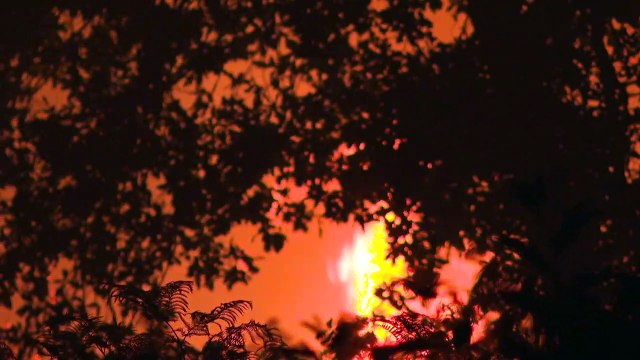 حرائق في جنوب غربي فرنسا في ظل موجة حر تضرب البلاد