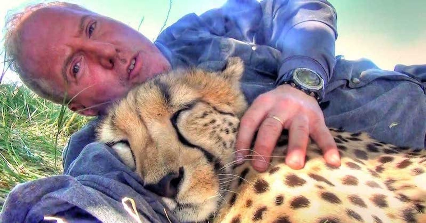 Afrique du Sud : un guépard se couche à côté d'un photographe endormi sous un arbre pour faire la sieste avec lui