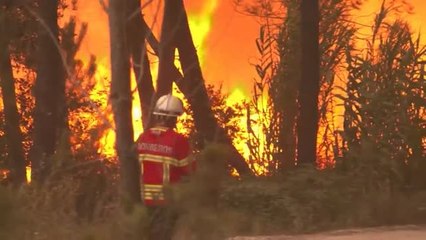 El calor complica los incendios en Portugal