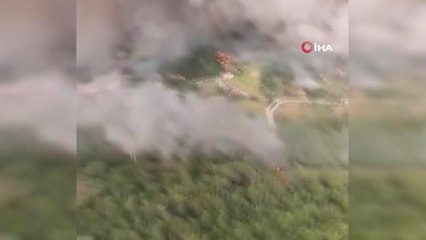 Portekiz'de 14 noktada orman yangınıİspanya da alevlerle mücadele ediyor