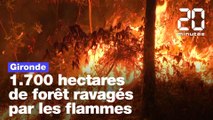 Gironde: 1.700 hectares de forêt ravagés par les flammes