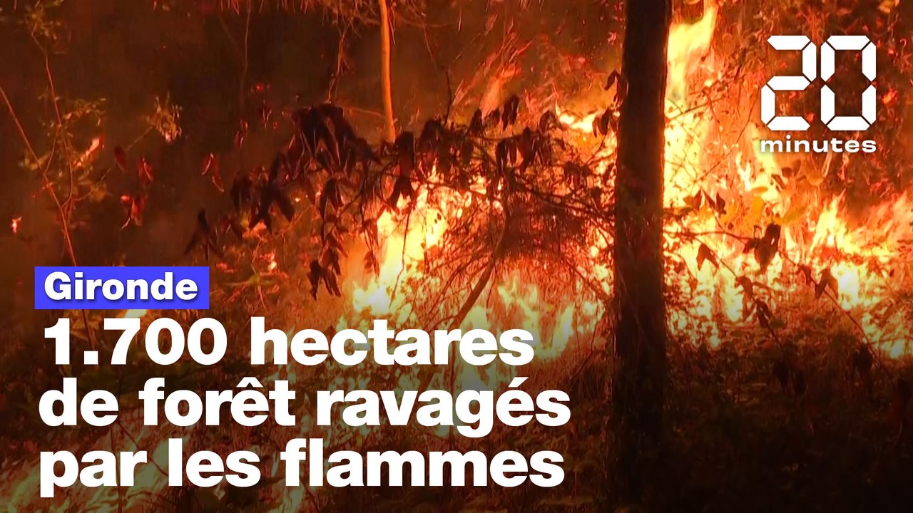 Gironde: 1.700 hectares de forêt ravagés par les flammes