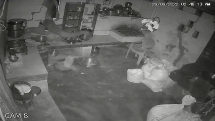 Un éléphant affamé détruit la façade d'une maison en pleine nuit pour trouver de la nourriture