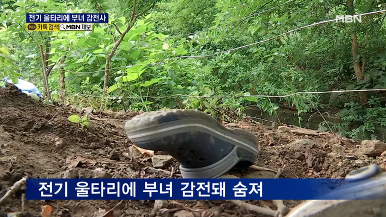 야생동물 막으려다 아버지·딸 감전사…전봇대 연결 전기울타리 '위험'