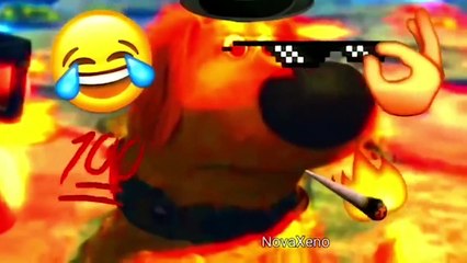 UNUSUAL MEMES COMPILATION V19