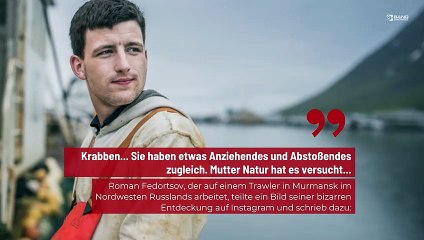 Fischer ist schockiert, als er eine Krabbe mit menschenähnlichen Zähnen findet