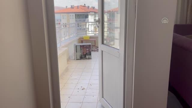 Evin balkonunda unutulan bilgisayar kasası güvercinlere yuva oldu