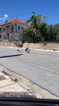 Δημήτρης Αλεξάνδρου: Το πρώτο βίντεο μετά τις φήμες χωρισμού από την Ιωάννα Τούνη