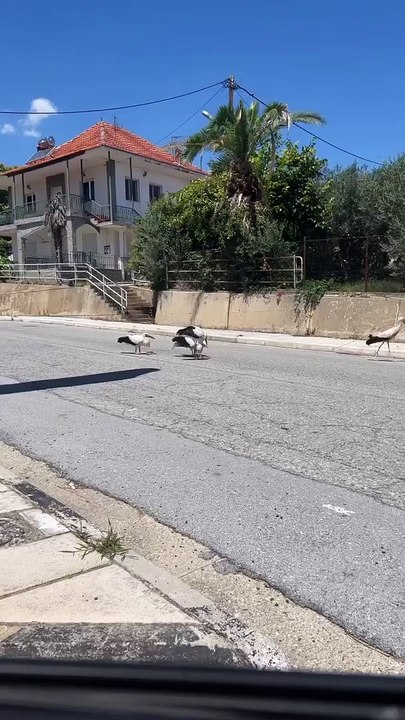 Δημήτρης Αλεξάνδρου: Το πρώτο βίντεο μετά τις φ...