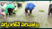 Farmers And Labours  Busy With Sowing Paddy _ Medak Dist |  V6 News
