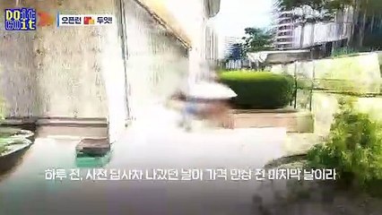 [두잇고잇] 오픈런 '1번'으로 입장하면 원하는 샤넬 백 살 수 있을까?