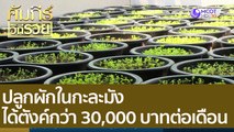 ปลูกผักในกะละมัง ได้ตังค์กว่า 30,000 บาทต่อเดือน : คัมภีร์วิถีรวย (12 ก.ค. 65)