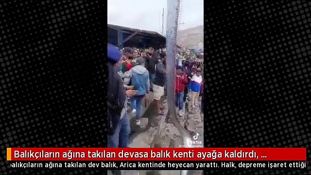 Balıkçıların ağına takılan devasa balık kenti ayağa kaldırdı, görmek isteyen iskeleye koştu