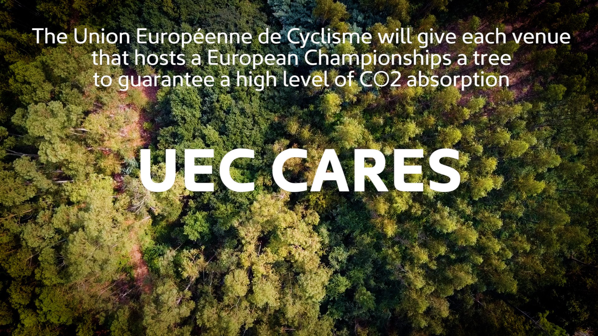 UEC Forest