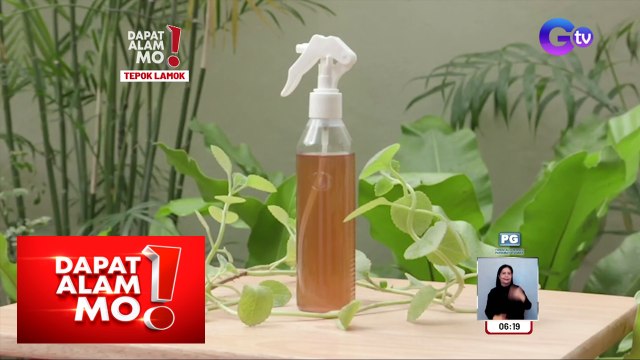 DIY mosquito repellant, paano gawin? | Dapat Alam Mo!