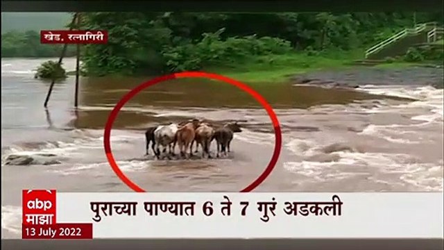 Ratnagiri Flood: पुराच्या पाण्यात 6 ते 7 गुरं अडकली, जगबुडी नदी धोक्याच्या पातळीवर ABP Majha