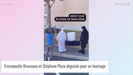 Stéphane Plaza victime d'un accident en plein tournage : la vidéo de l'incident dévoilée