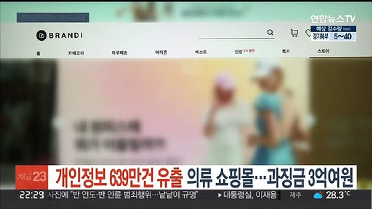 개인정보 639만건 유출 의류 쇼핑몰…과징금 3억여원