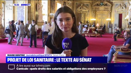 Projet de loi sanitaire: après un revers à l'Assemblée nationale, le gouvernement mise sur le Sénat