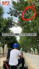 Couper des branches avec un laser