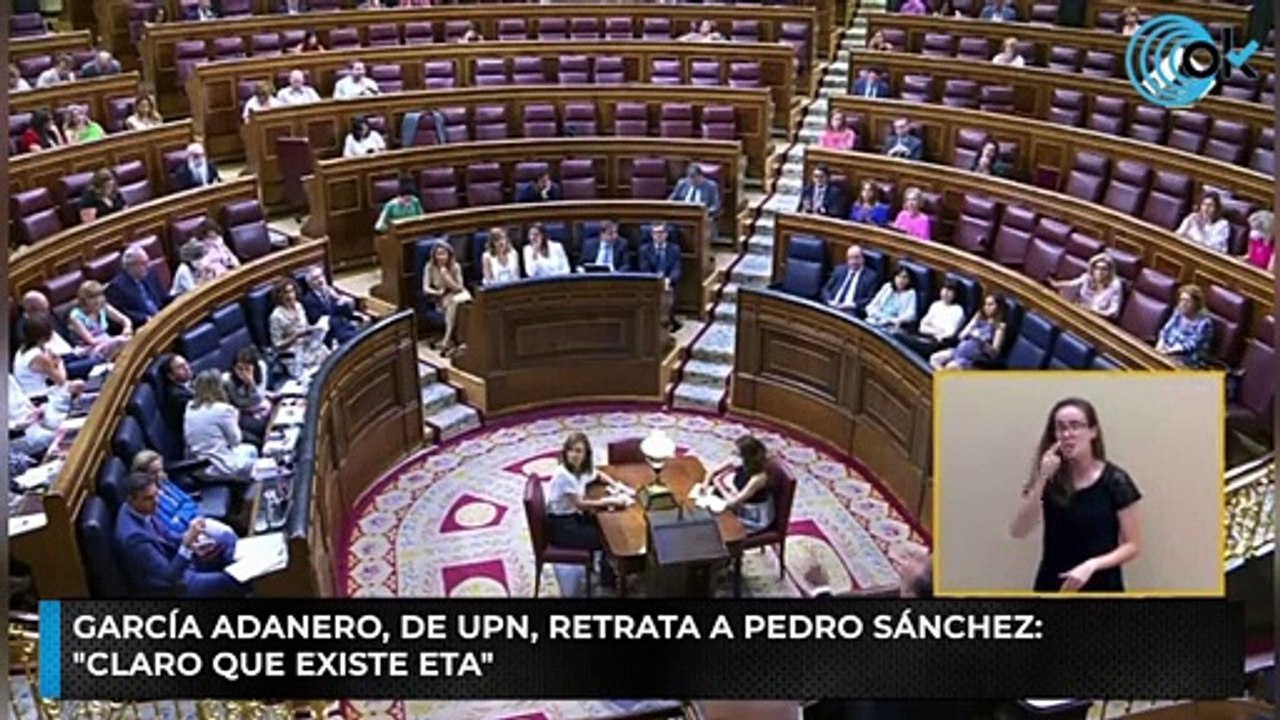García Adanero, de UPN, retrata a Pedro Sánchez: "Claro que existe ETA"