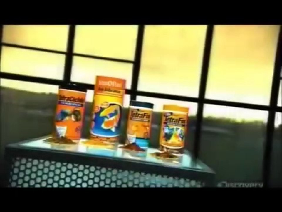 How It's Made Classic The Fish Food video Dailymotion