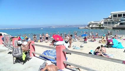 Marseille : Attention aux méduses !