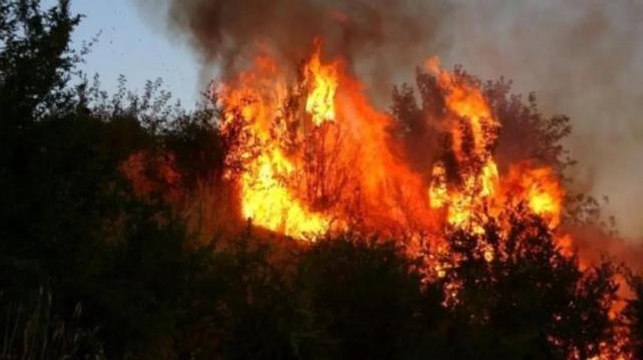 Datça yangın söndürüldü mü? (VİDEO) 13 Temmuz Datça yangın devam ediyor mu, söndürüldü mü? Datça yangını son durum!