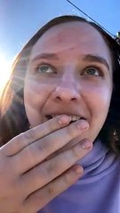 Good Dog Sits at Table