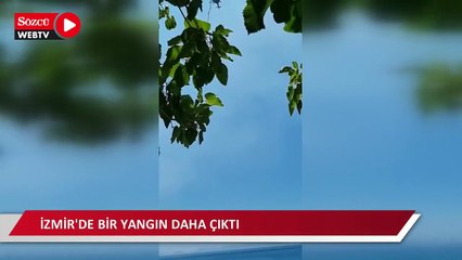 Alaçatı yangını kontrol altına alındı, başka bir noktada yangın çıktı