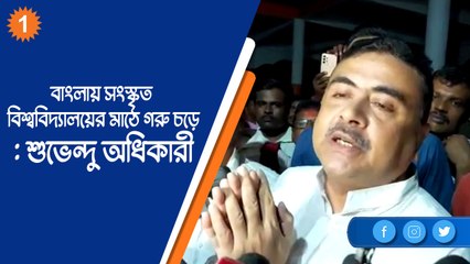 পশ্চিমবঙ্গে সংস্কৃত বিশ্ববিদ্যালয়ের মাঠে গরু চড়ে: শুভেন্দু অধিকারী