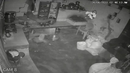 Un éléphant affamé détruit la façade d'une maison en pleine nuit