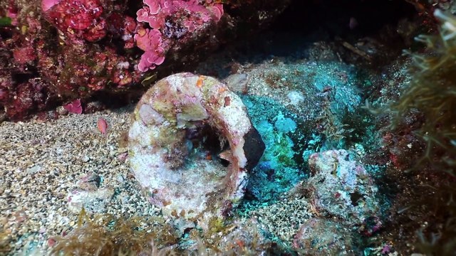Pantelleria: ripristinati i percorsi archeologici subacquei