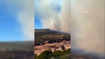 Son dakika haberi... Çeşme Alaçatı'da Makilik Alanda Yangın Çıktı