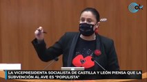 La vicepresidenta socialista de Castilla y León piensa que la subvención al AVE es 