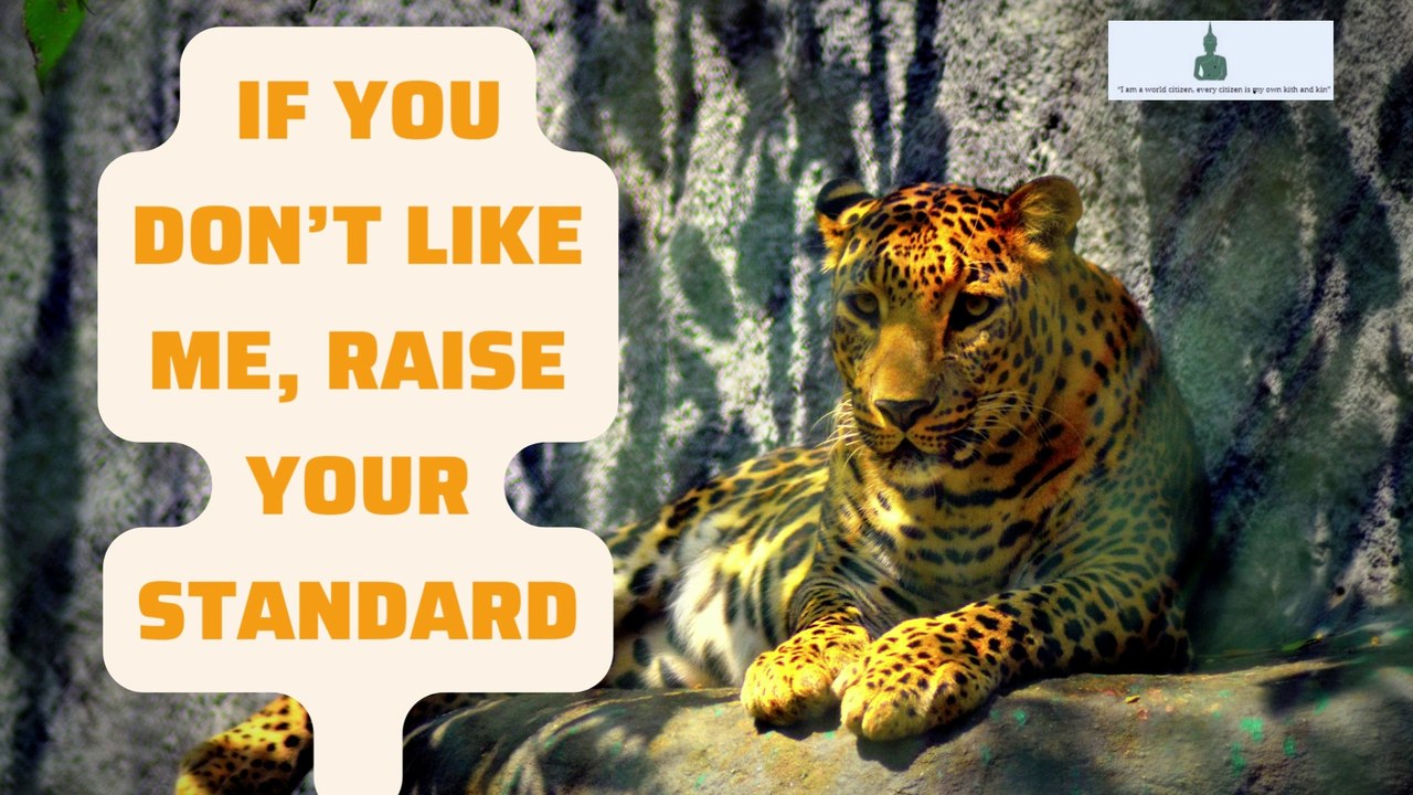 Attitude &Motivational Powerful quotes that can change yourlife|Life quotes|buddha quotes