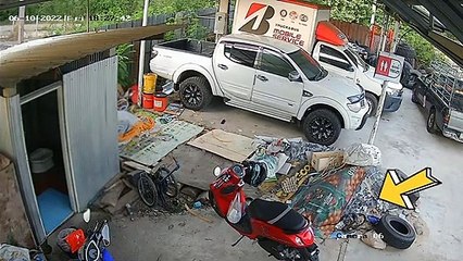 Cobra Hides in Plain Sight