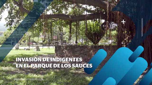 Vecinos denuncian presencia de indigentes en Los Sauces | CPS Noticias Puerto Vallarta