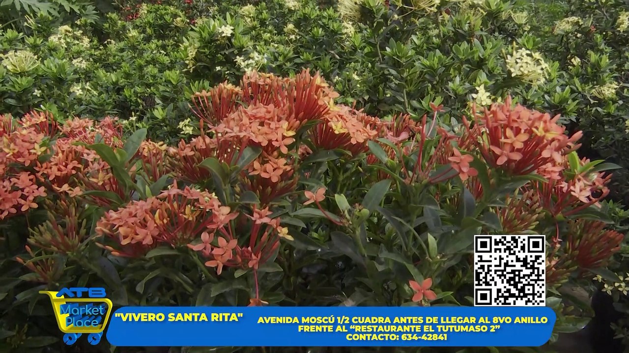 VIVERO SANTA RITA