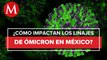 OPS: Los nuevos linajes de Ómicron elevan la mortalidad en México