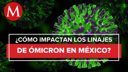 OPS: Los nuevos linajes de Ómicron elevan la mortalidad en México