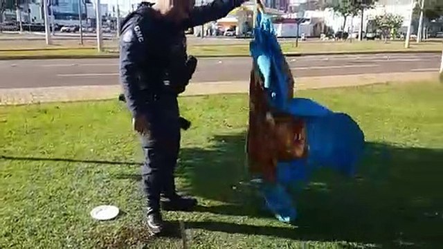 Guarda Municipal recupera produtos furtados de pizzaria