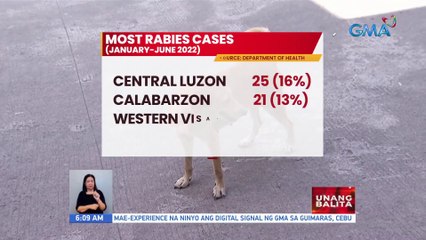 DOH: Kaso ng rabies sa bansa, umabot na sa 157 ngayong 2022; Lahat namatay | UB