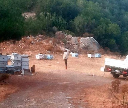 Son dakika haberleri! Muğla İl Tarım ve Orman Müdürlüğü yangın bölgesinde