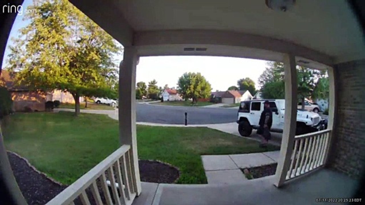 Wasps Attack Man at Mailbox