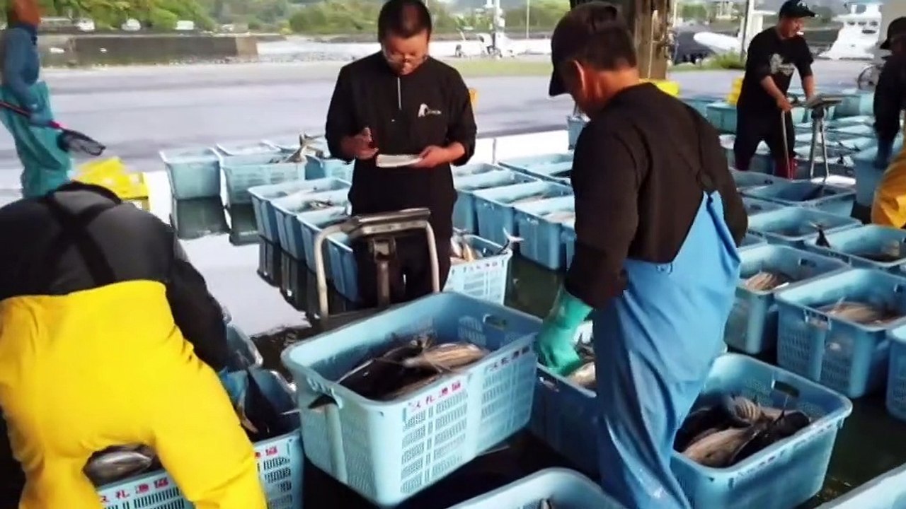 Japan's famous sushi culture is under increasing pressure from climate change.