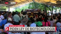 Interculturales dan un plazo al Gobierno para tratar una ley que permita el uso de biotecnología