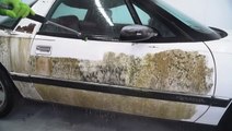 How a barn find covered in 22 years of mold is deep cleaned