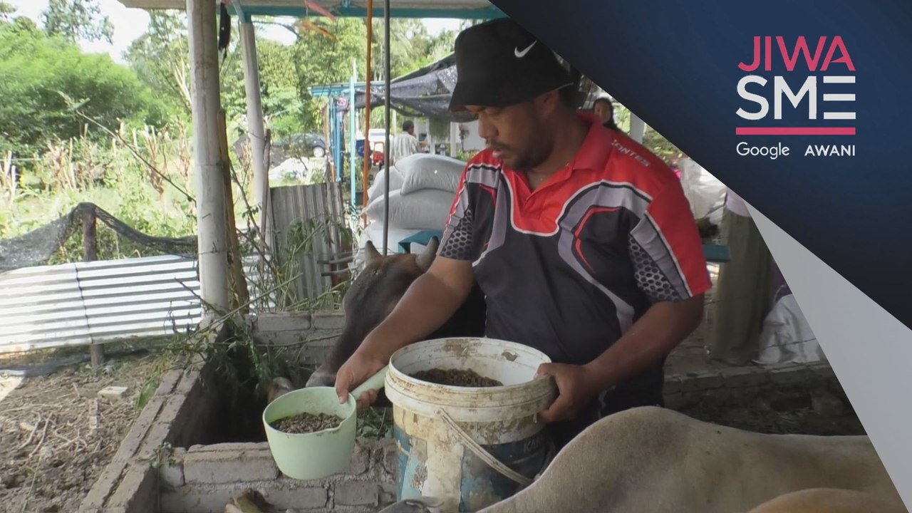 Jiwa SME | Penjualan lembu di platform media sosial