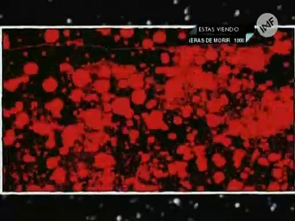 1000 Maneras De Morir Capitulo 3